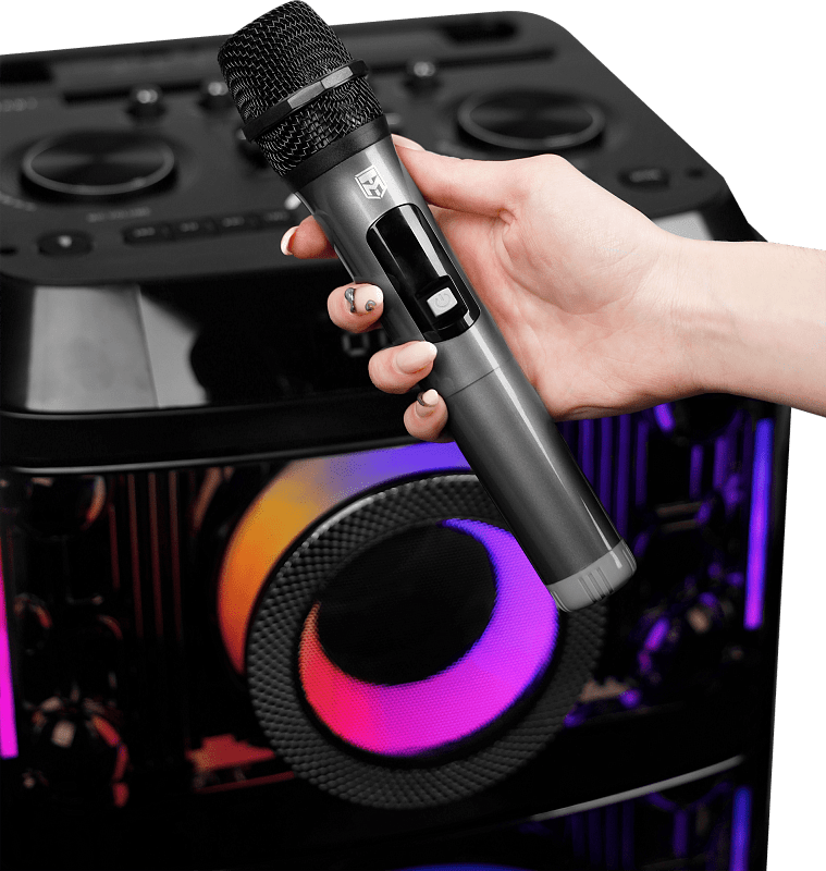 Портативная акустическая система УРАЛ МОЛОТ 216 - 10