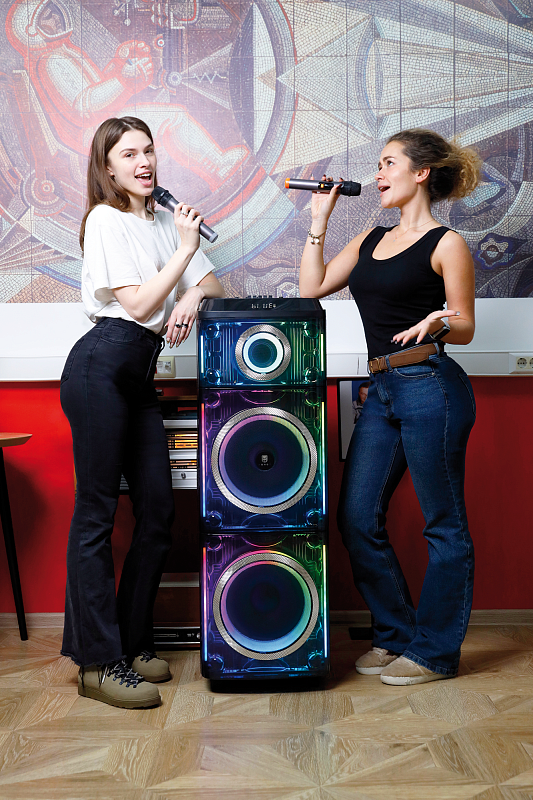 Портативная акустическая система УРАЛ МОЛОТ 216 - 8