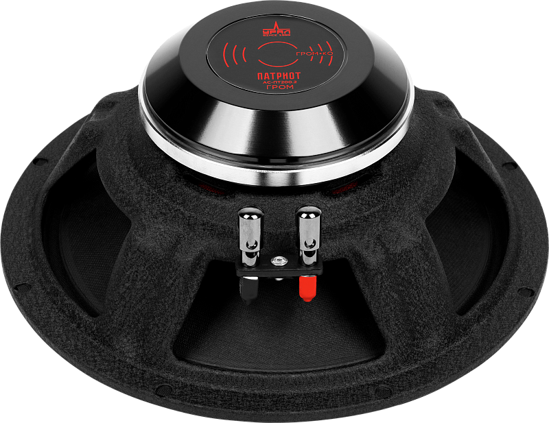 Автомобильная эстрадная акустическая система УРАЛ ПАТРИОТ АС-ПТ200.2 ГРОМ - 5