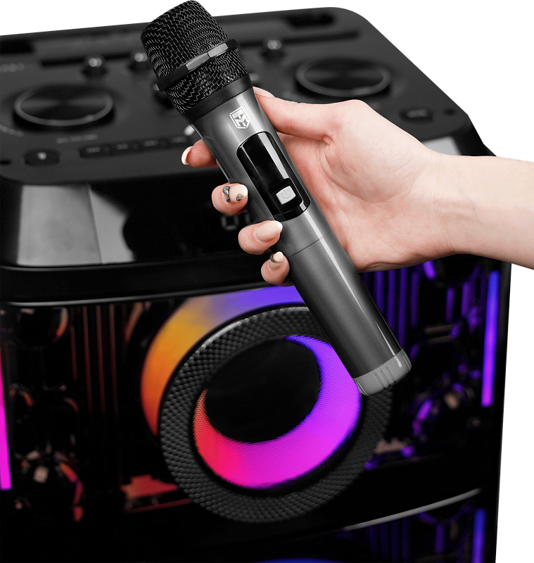 Портативная акустическая система УРАЛ МОЛОТ 213 - 10