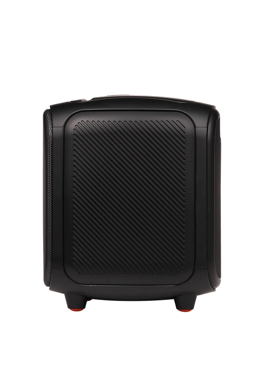 Портативная акустическая система МОЛНИЯ  1400 - 6