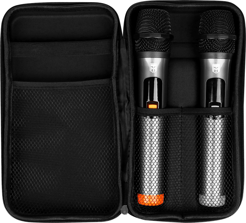 Портативная акустическая система УРАЛ МОЛОТ 213 - 12