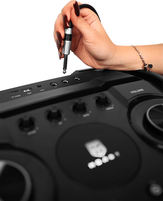 Портативная акустическая система УРАЛ МОЛОТ 23 - 3