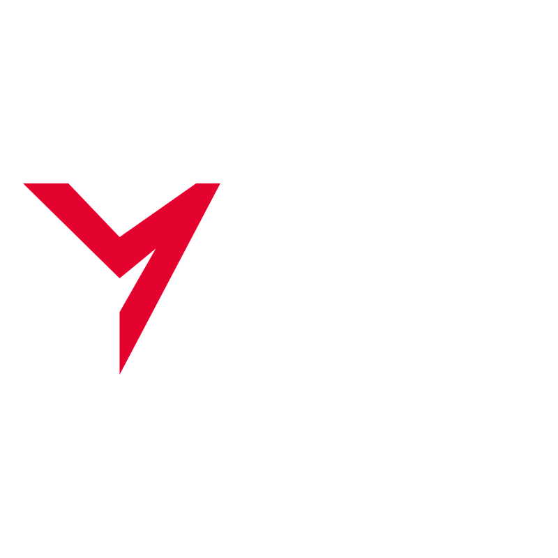 Фирменная наклейка логотип